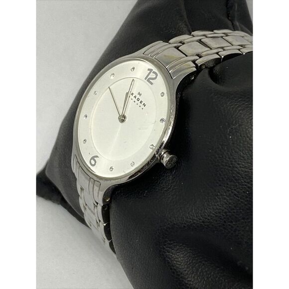 Skagen SKW2254 Womens Silver Stainless Steel Analog Dial Quartz Wrist Watch JK44